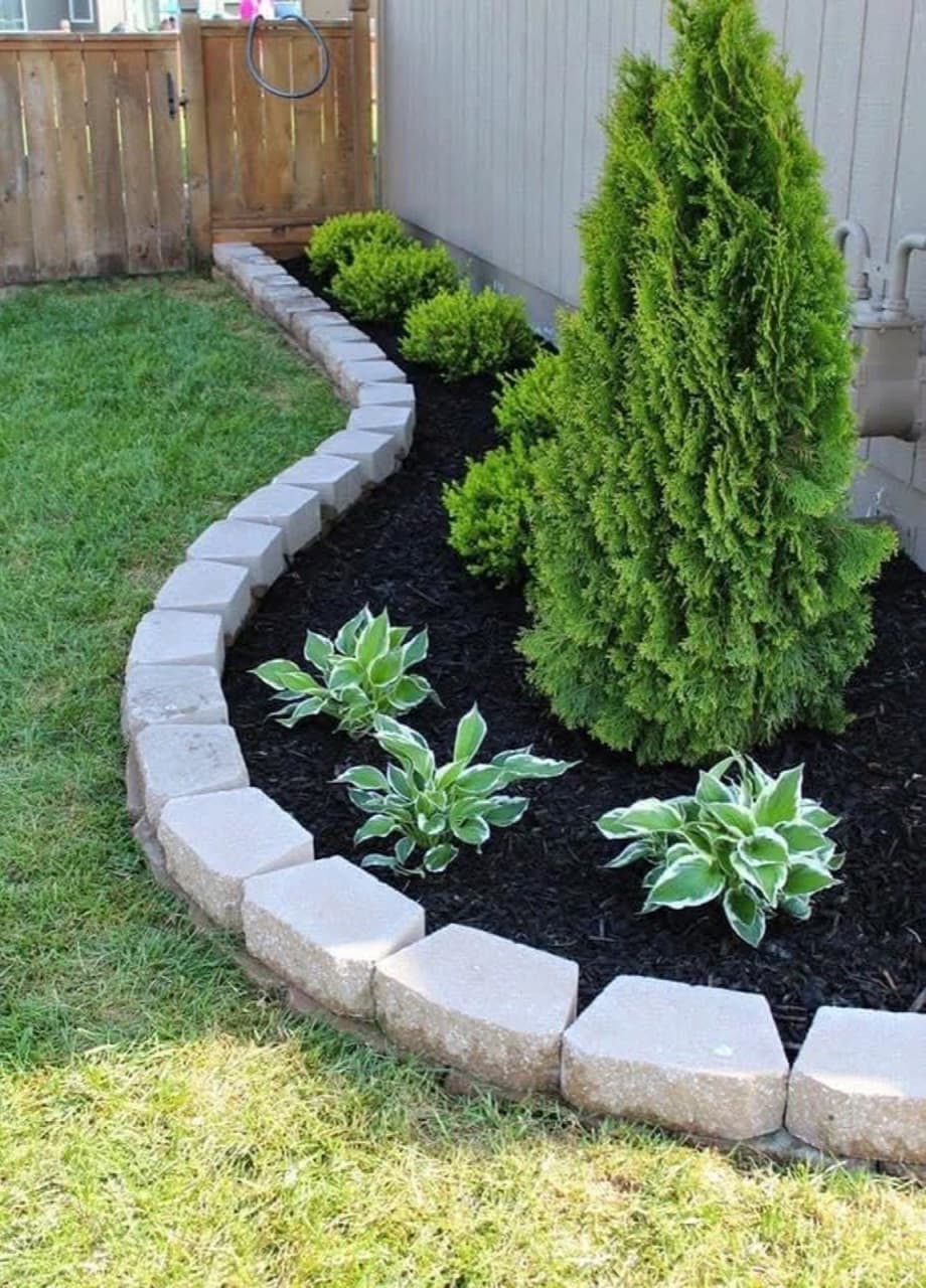Manicured flower bed with a shaped conifer and clean hedge border